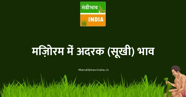 Ginger dry भाव